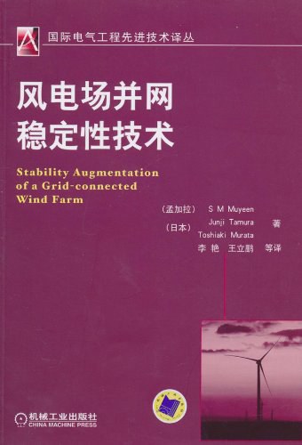 风电场并网稳定性技术